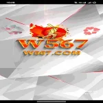 W567 Game