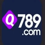 Q789 Game